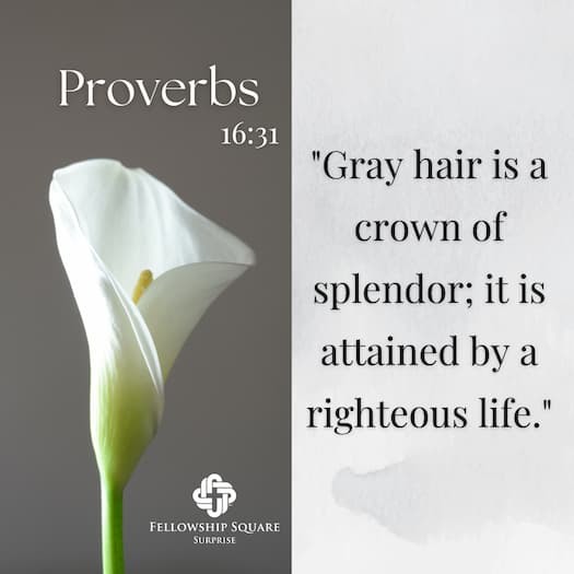 Proverbs 16:31 - Gray hair is a crowns of splendor; it is attained by a righteous life.