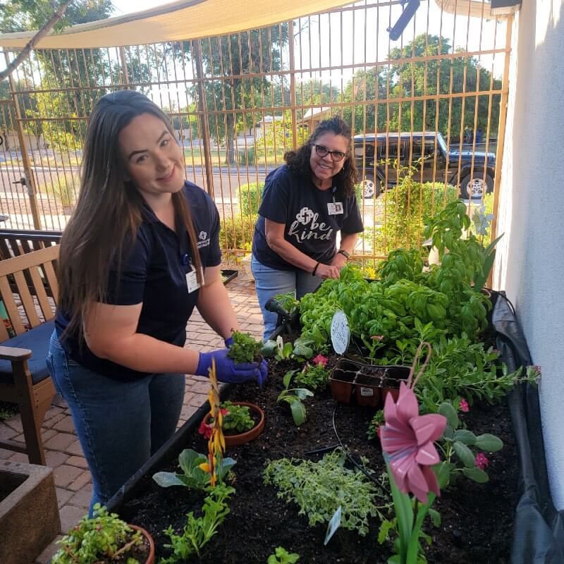 Volunteers Gardening Historic Mesa 800Px