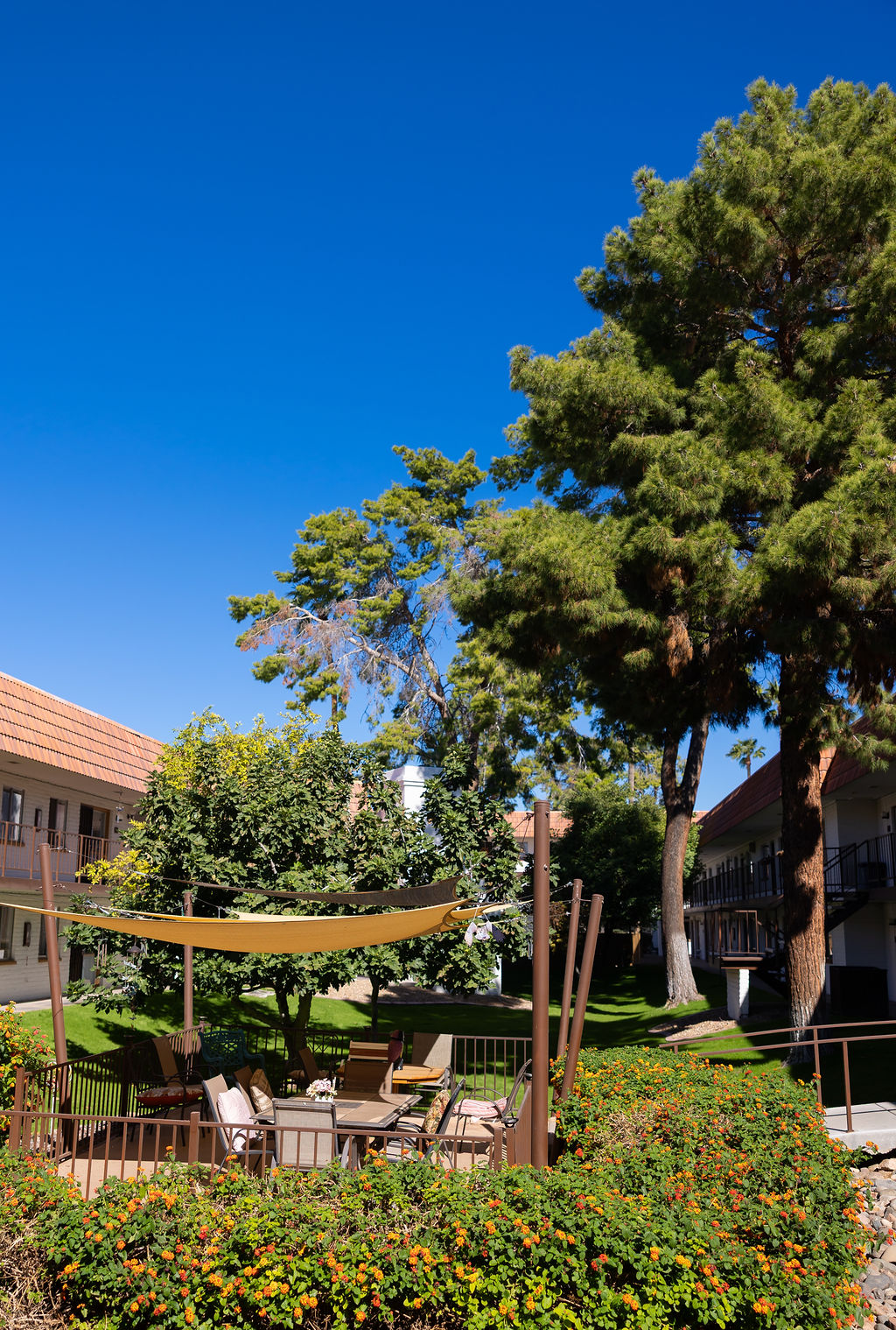 Courtyard FSQ Historic Mesa