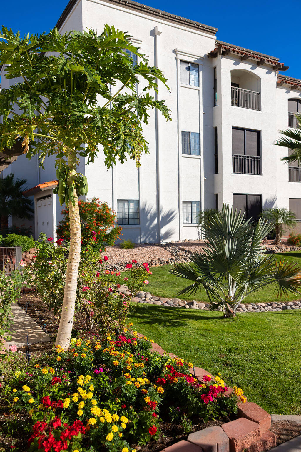 Gardens At FSQ Mesa
