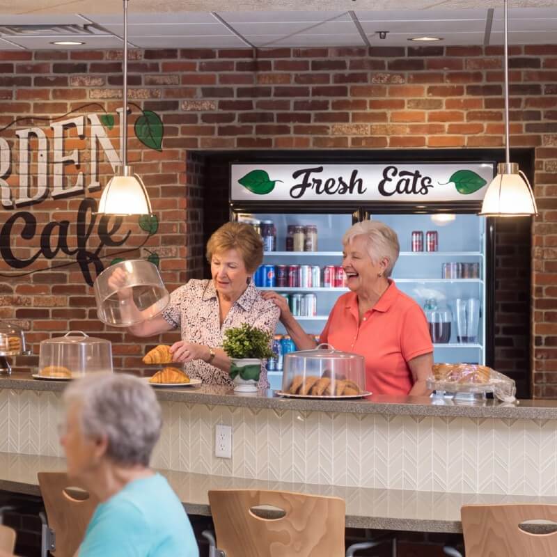 Sneaking Behind The Cafe 800Px